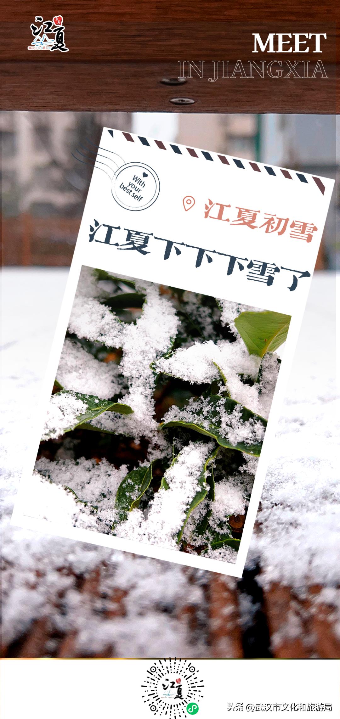 江夏区下大雪了吗,今天江夏区在下雪吗