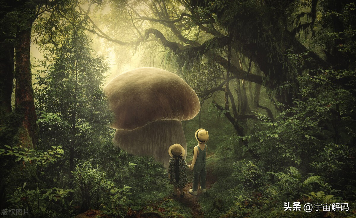 带你了解宇宙中神秘的土星,土星在宇宙中的位置