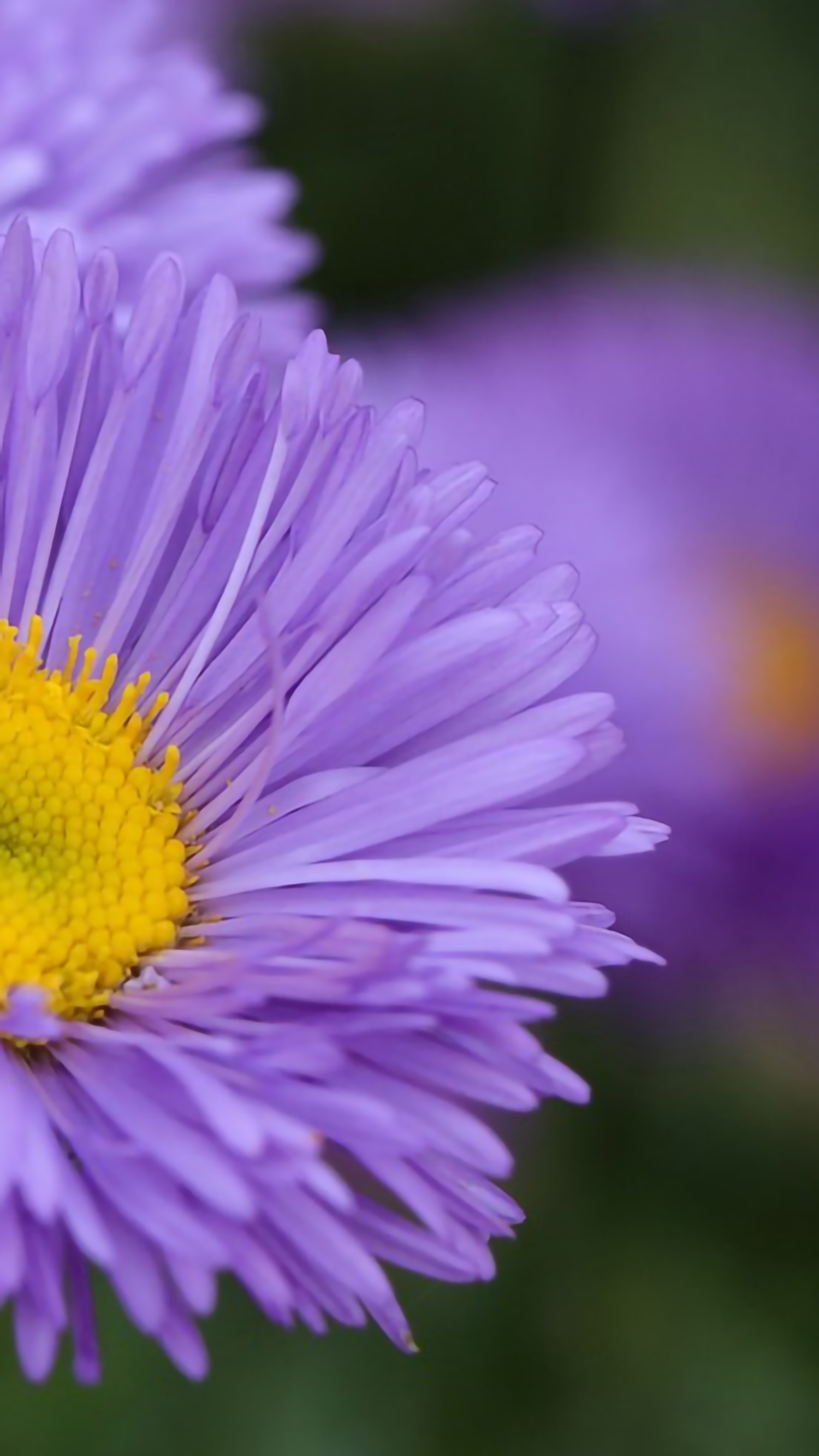 好看的手机桌面壁纸和锁屏壁纸,总有一张壁纸适合你手机屏保精选