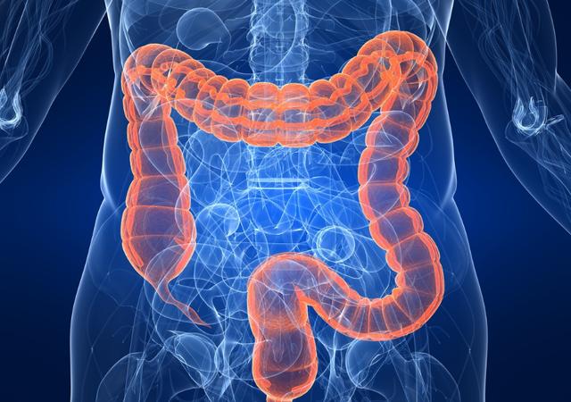 吃完饭大便什么时间到达直肠,吃饱就想大便跟直肠有关吗