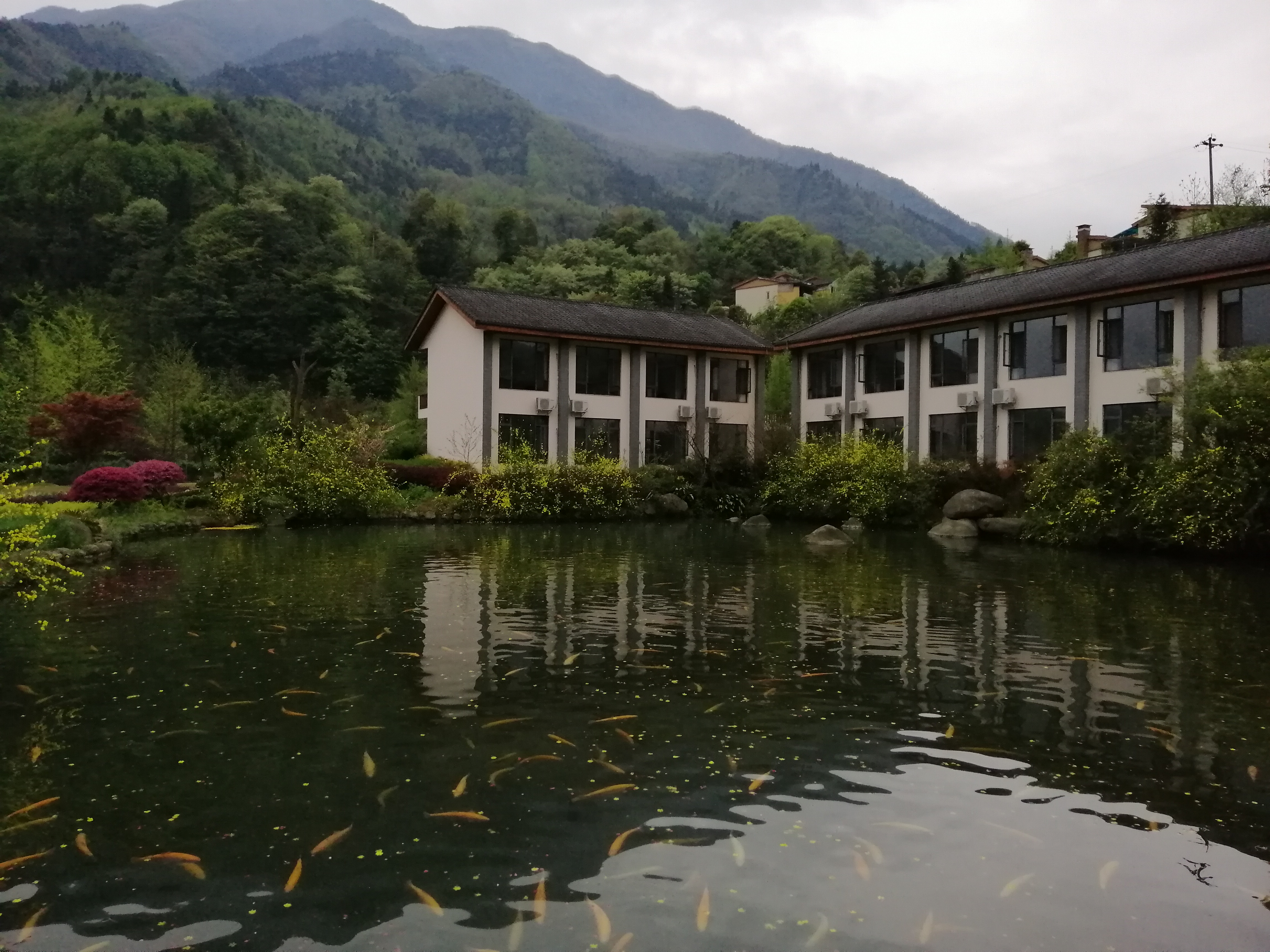 “种草”《大河恋》，解锁大虹鳟，也寻找着生命的意义