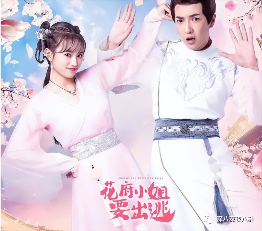 王子腾人物评价,王子腾是男的还是女的