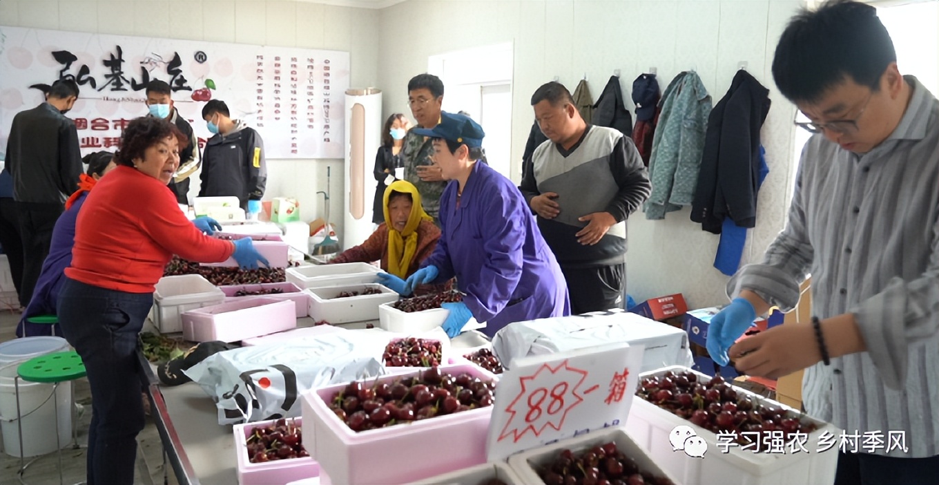 大棚樱桃还有发展趋势吗,大棚樱桃错时上市反季节