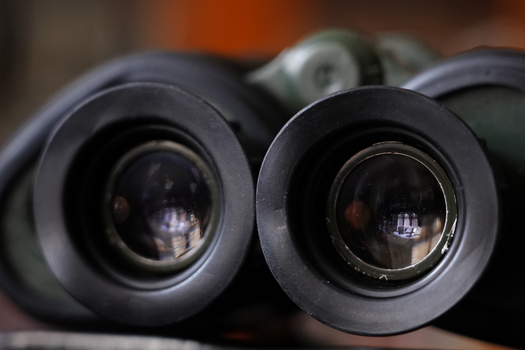 一树梨花压海棠:是*用军**望远镜好?还是名牌望远镜好?