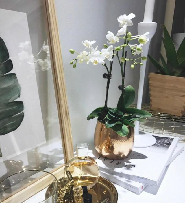 她拒绝断舍离，入住三年依旧把家收拾得井井有条，堪称教科书收纳