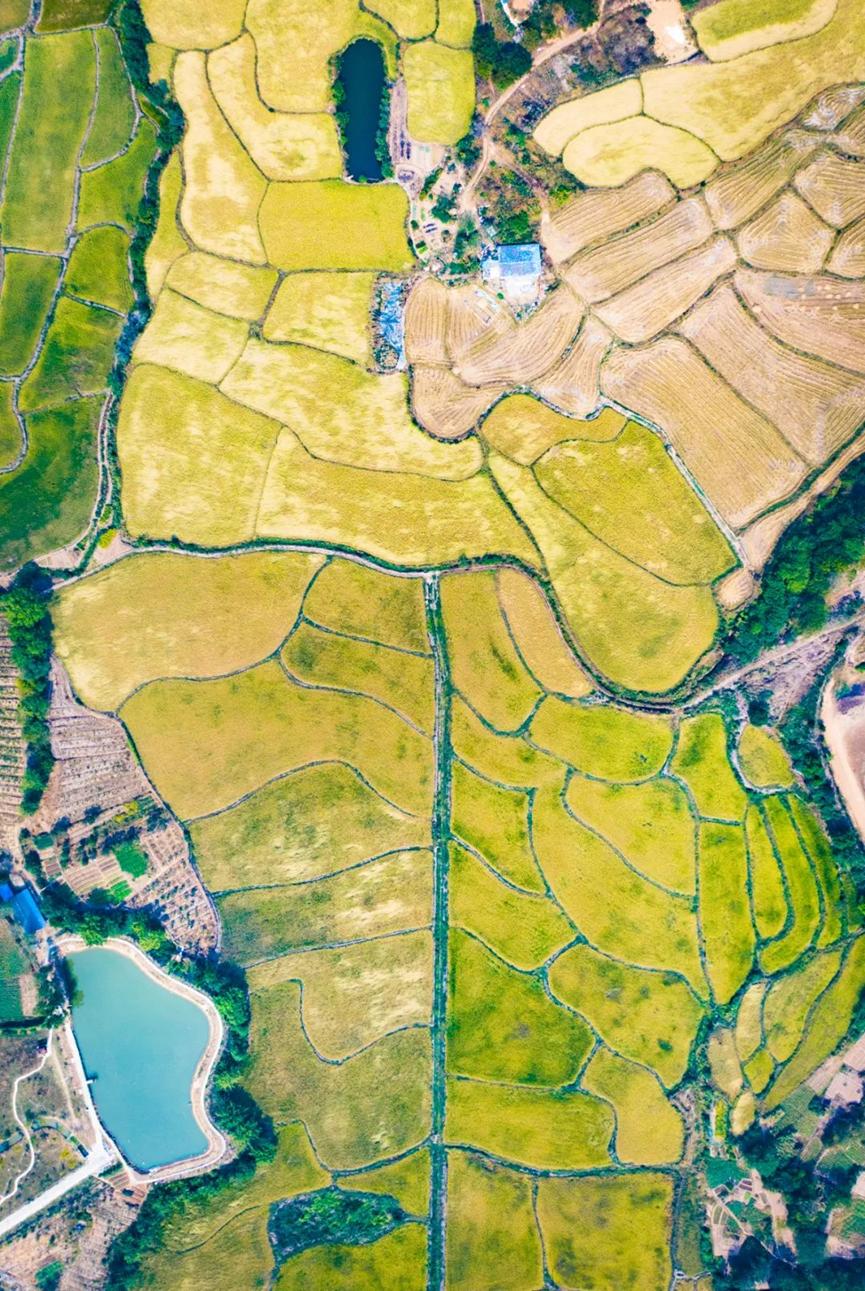 安徽的徽拼音,安徽的徽字解释