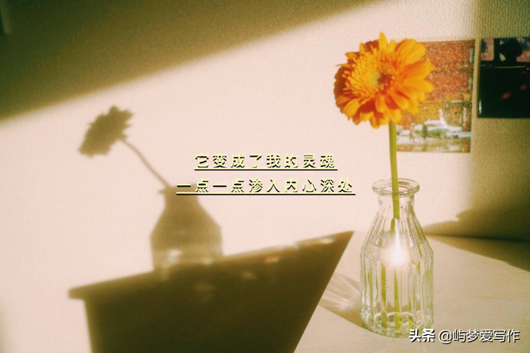 网文小说的大纲及大纲模板,网文小说的大纲范例