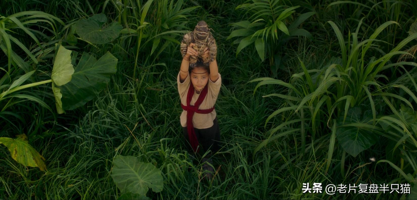 怪兽宇宙有多少只哥斯拉,怪兽宇宙哥斯拉历史