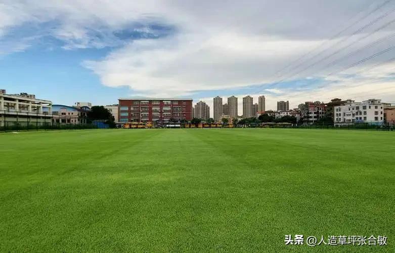 上海足球场人造草坪预算,足球场草坪施工报价明细