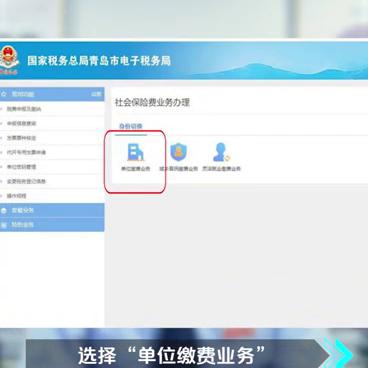 青岛税务网上社保缴费,青岛税务社保缴费怎么查询