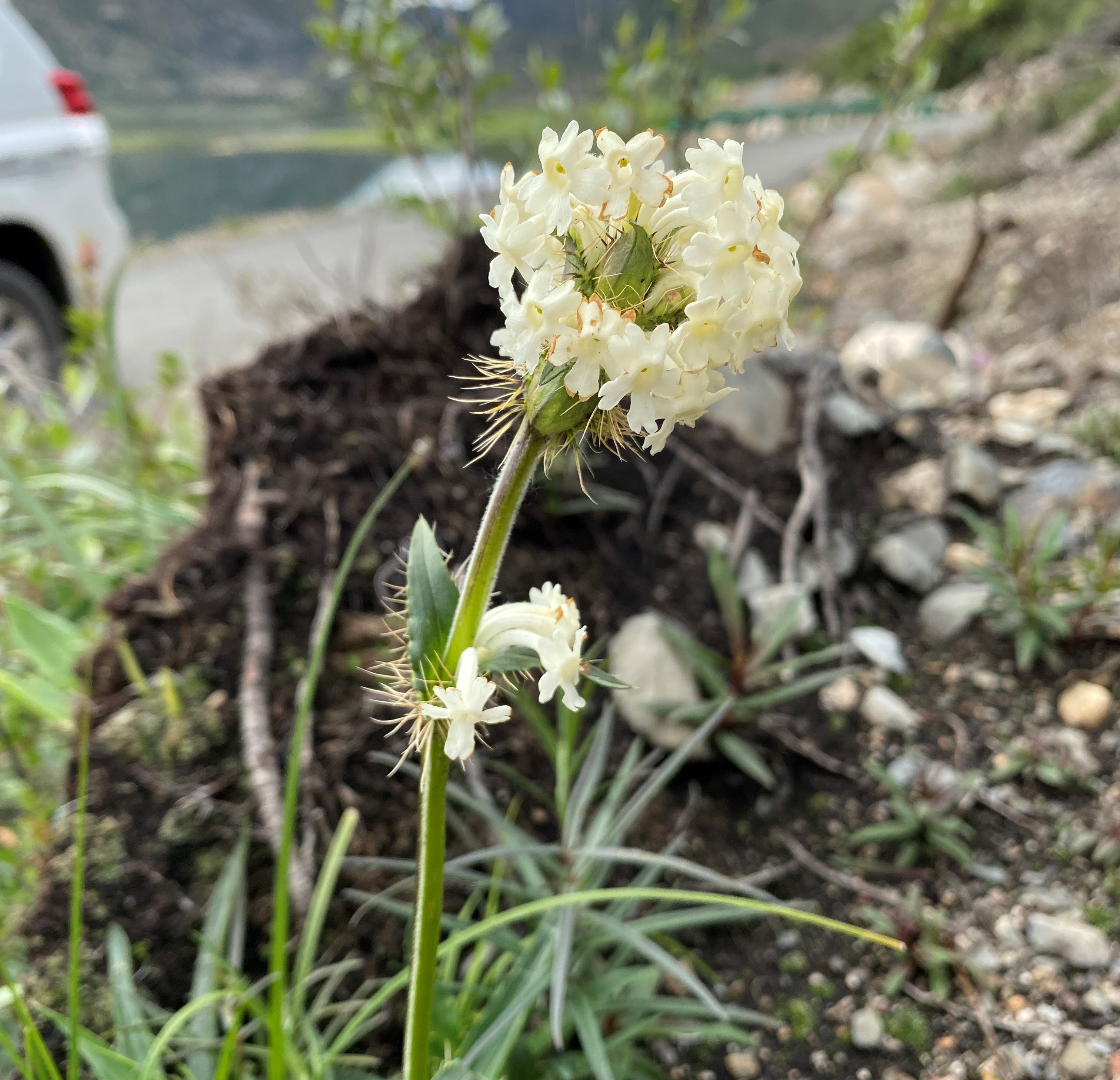 理塘格聂神山怎么走,理塘格聂神山故事