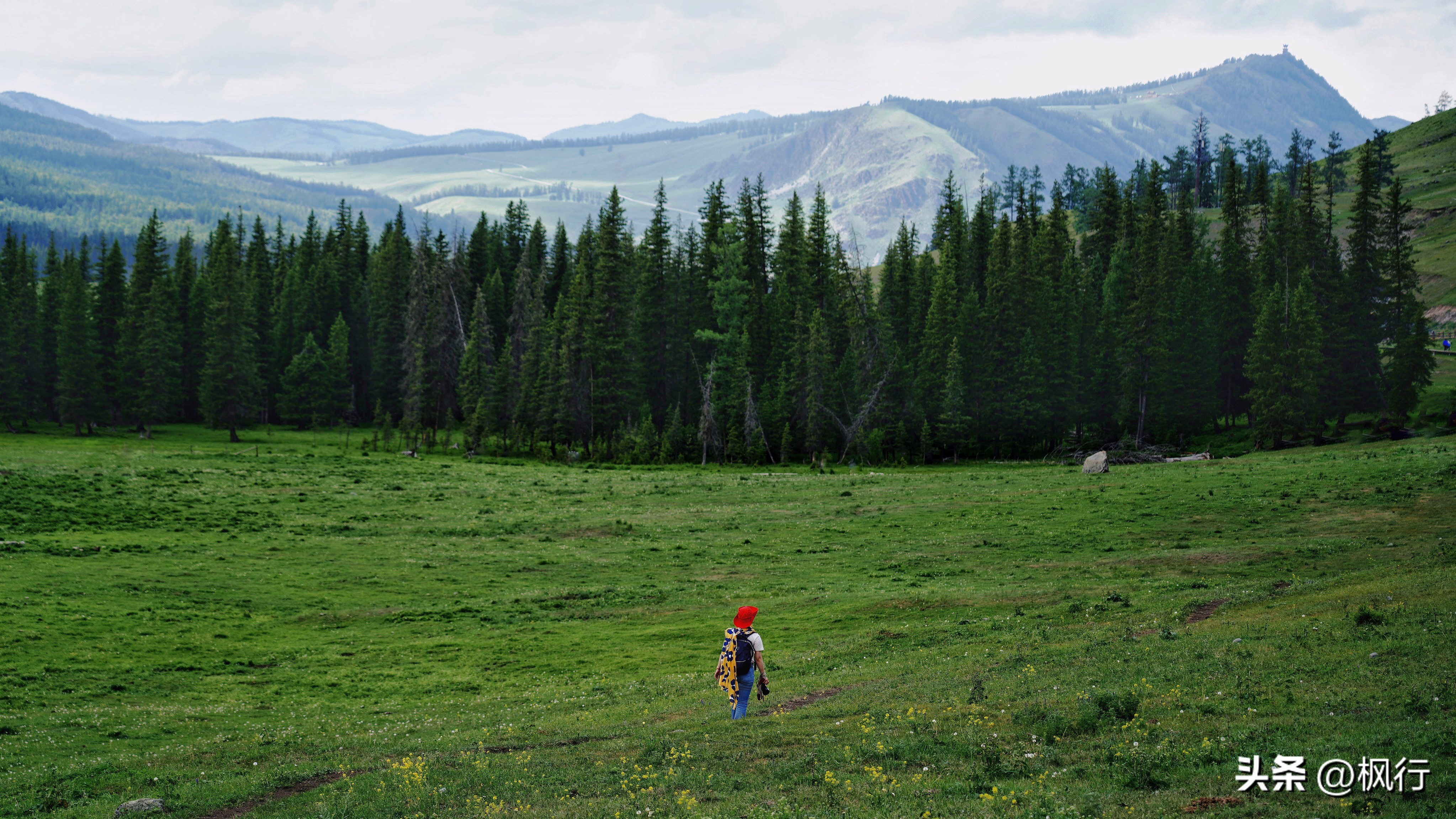 旅游期间发生意外怎么处理,旅游遇到意外伤害如何处理