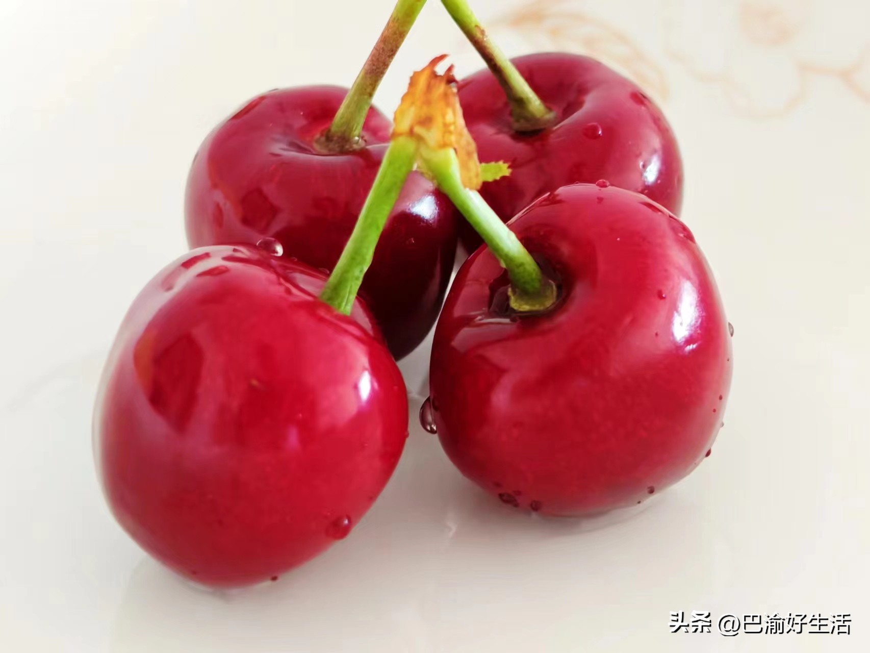 重庆到陕西高铁几个小时,重庆到兰州高铁几个小时