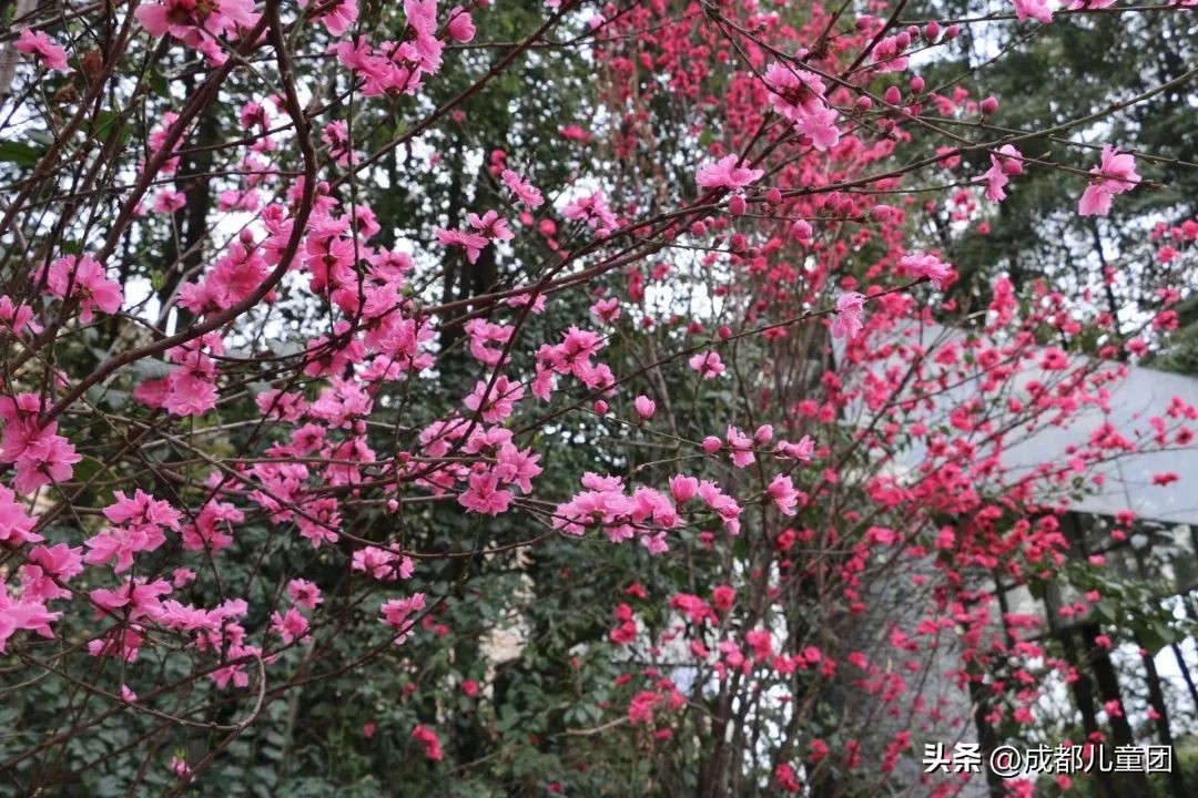 地铁3号线能到的美景地方,一号线地铁直达的风景
