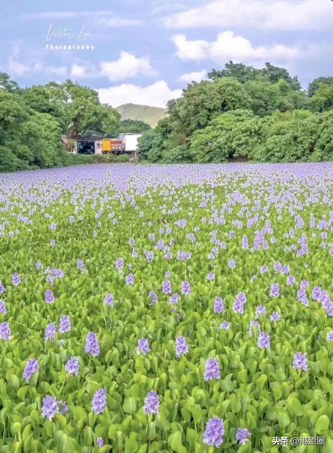 踏遍万水千山饱览各种景观,踏遍美丽的地方