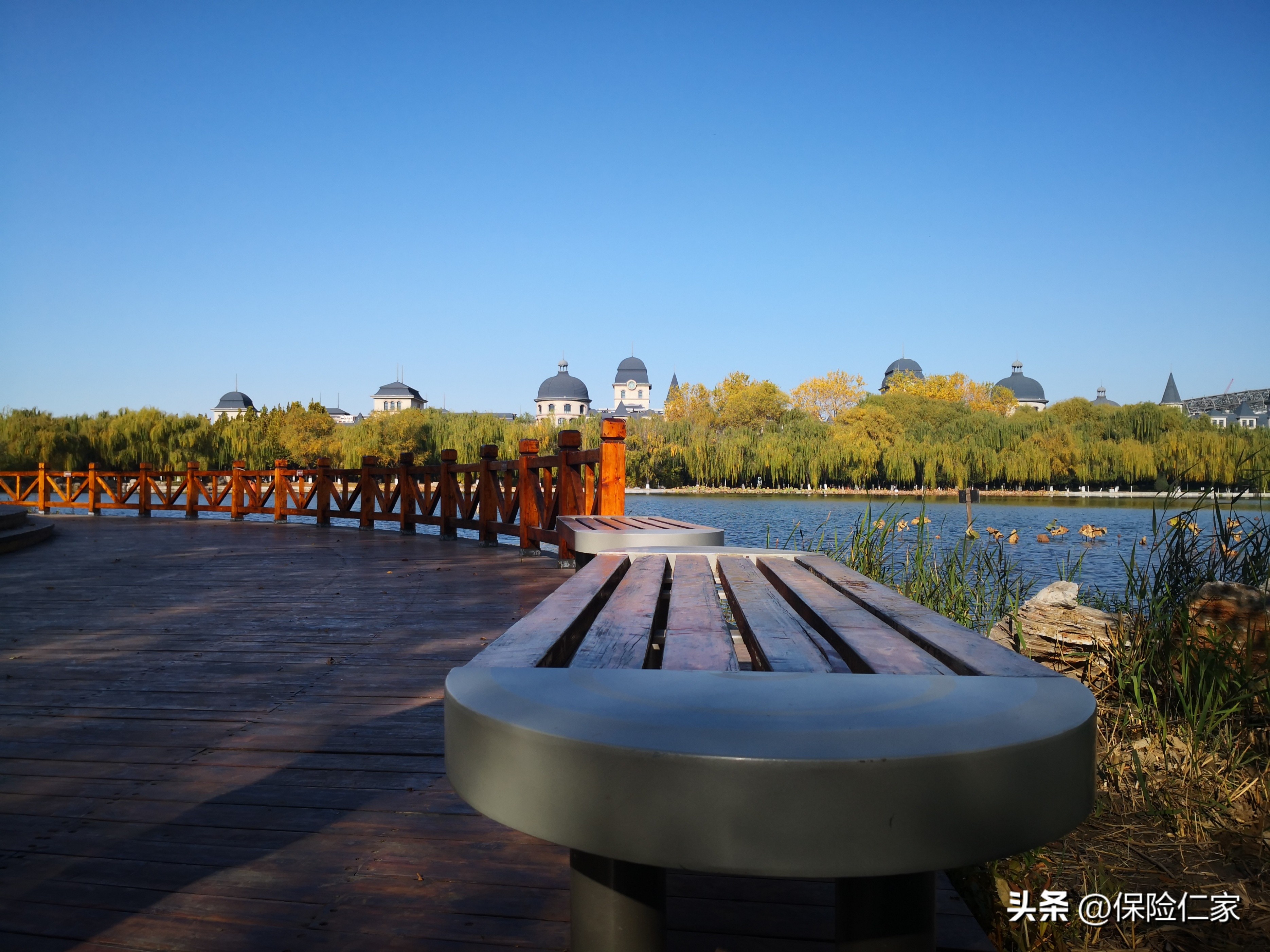 保险续期交不起,第二年保费交不起会怎样