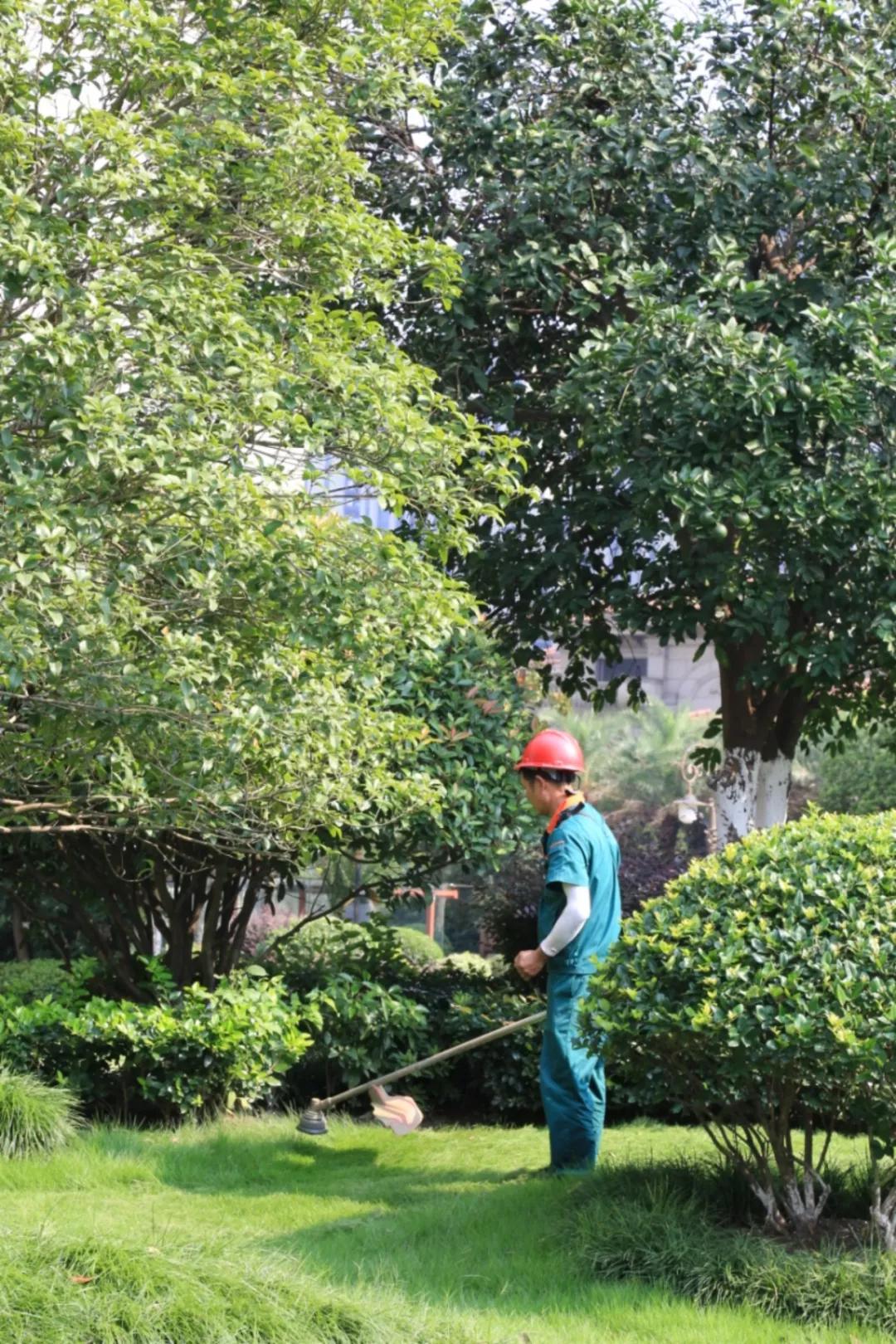 杭州碧桂园楼盘有哪些,杭州碧桂园公寓住宅