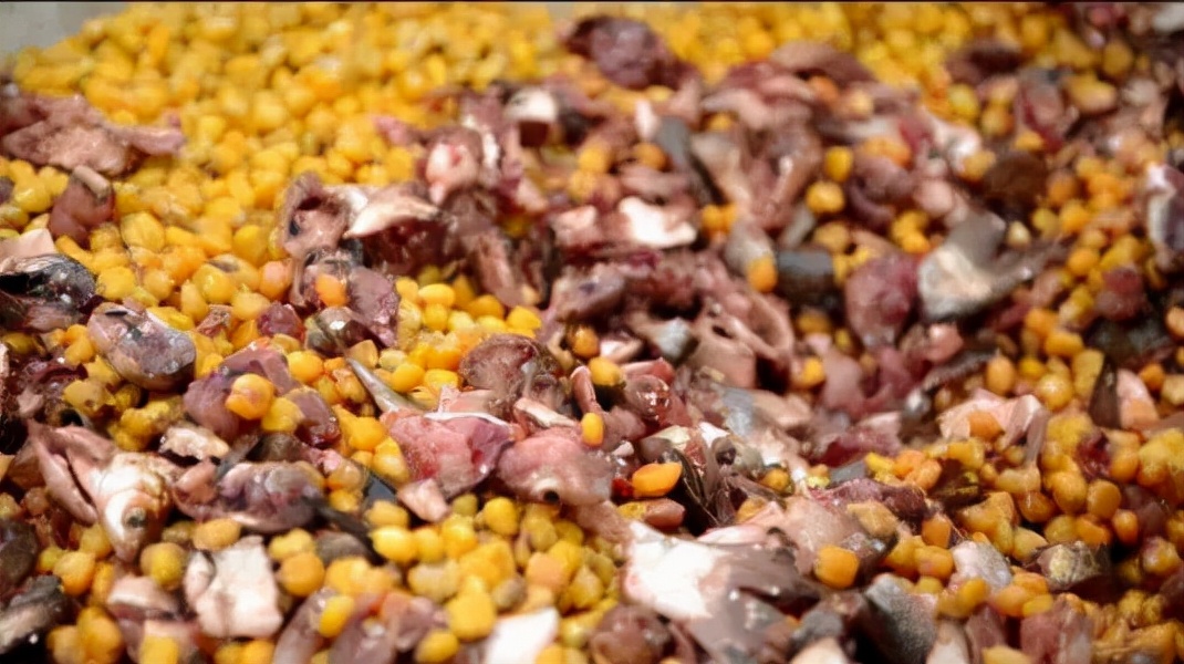 阳澄湖最大的大闸蟹养殖基地,大闸蟹阳澄湖养蟹