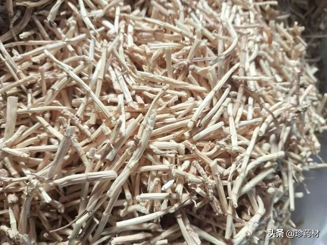 12月23日中药材市场快讯：三七、红景天、白茅根、猫爪草、菟丝子