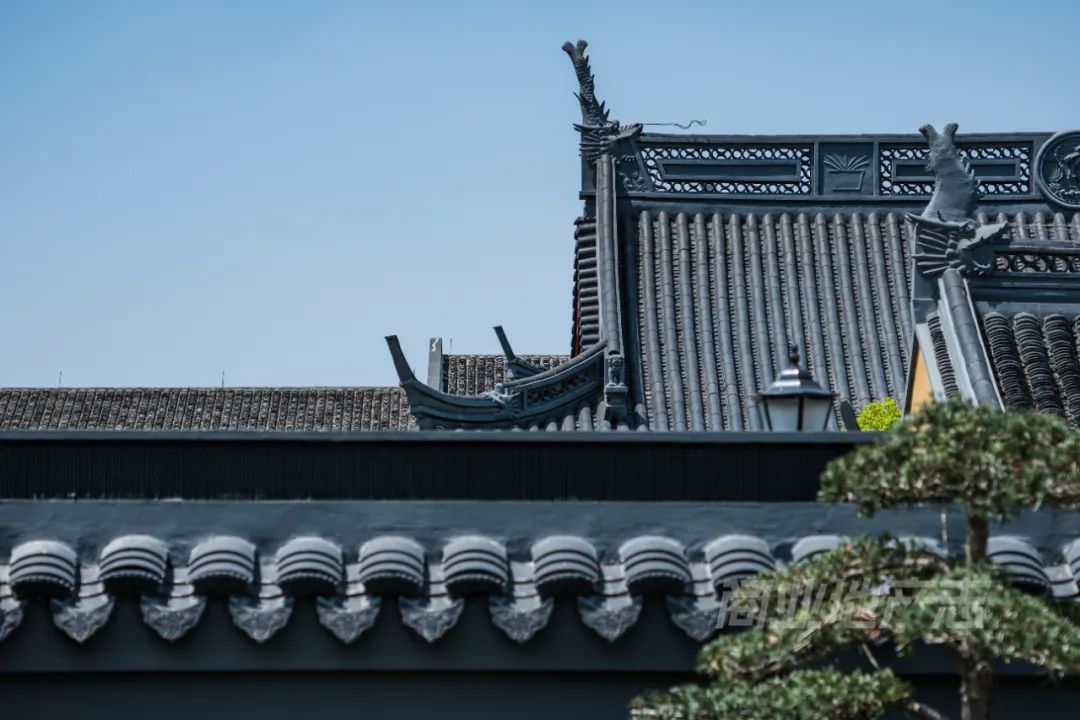 CRR百图斩｜公园里的新天地：上海蟠龙天地