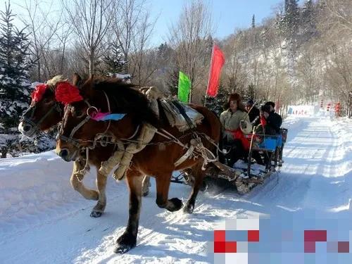 父亲与自行车的故事,父亲和他的汽车故事