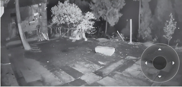 萤石家用摄像头对比小米华为,萤石c6cn和tplinkipc44aw哪个好