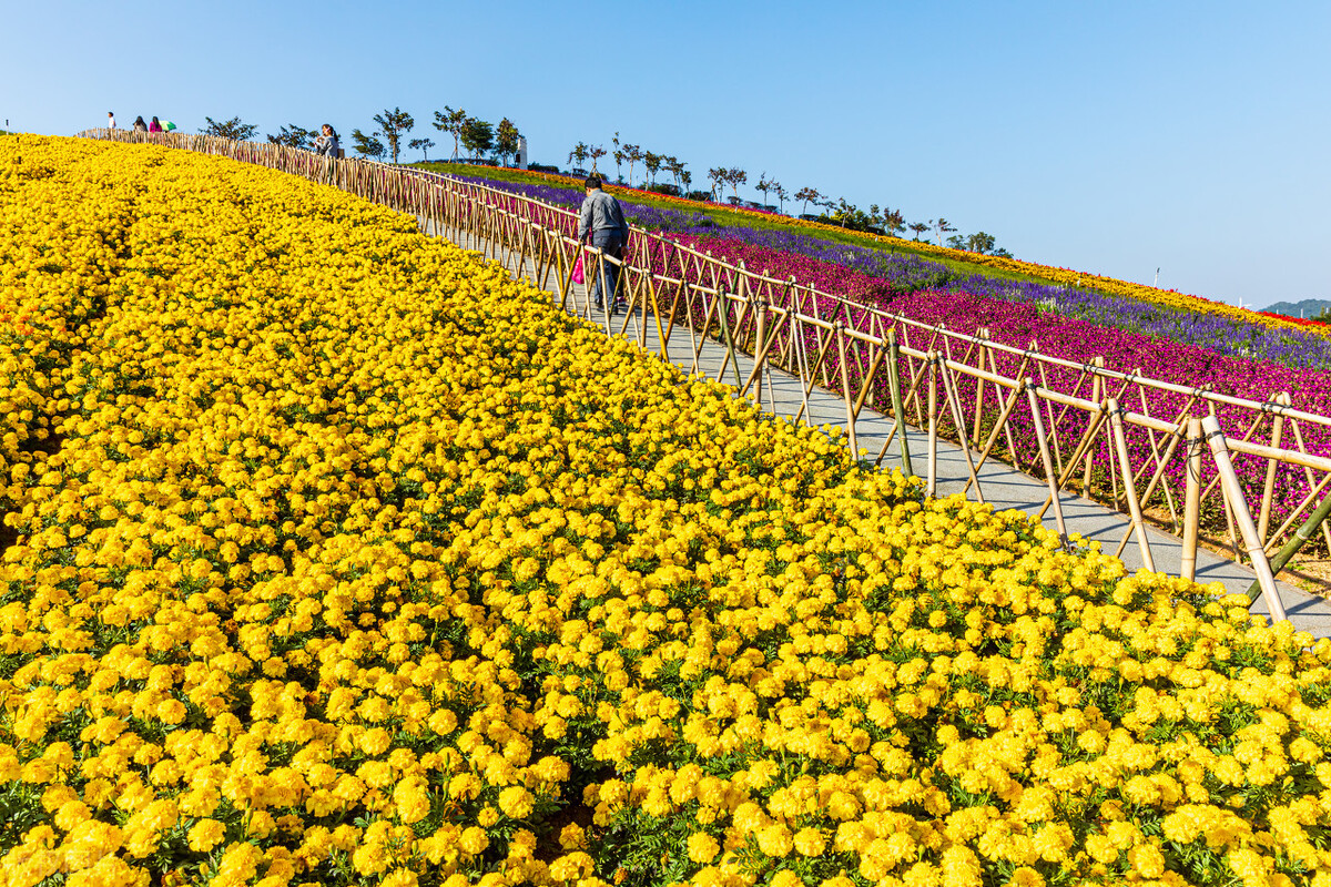 广东汕尾自驾游十大免费景点推荐,贵州景点对广东免费