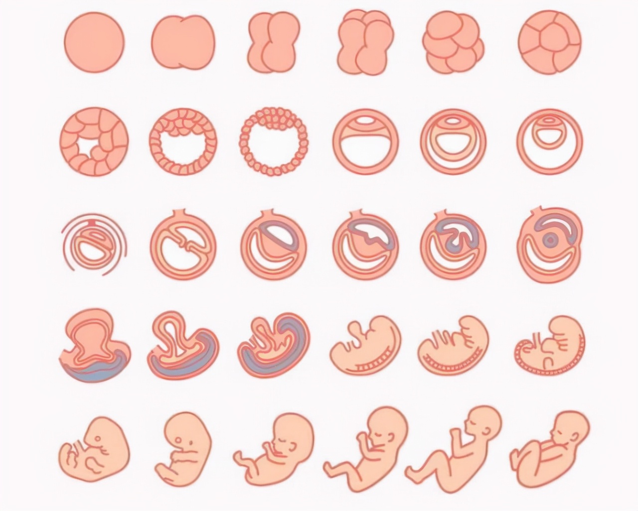 孕期1-10个月注意事项,孕期准备宝宝用品清单
