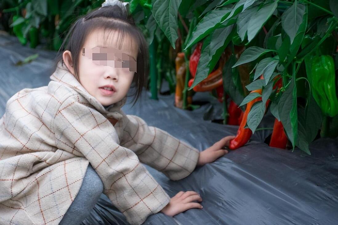 我和老伴都有着一个宝贝女儿琳琳,我该怎么办?