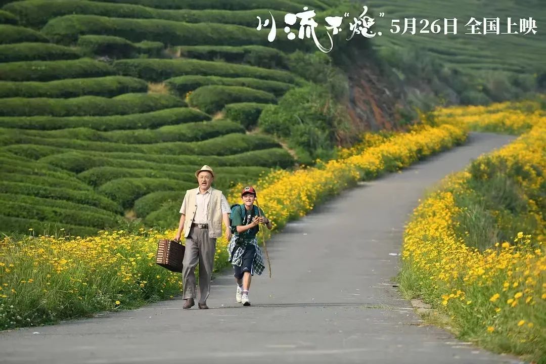 2位大师加华仔助阵，上映好评如潮！电影《川流不“熄”》好在哪