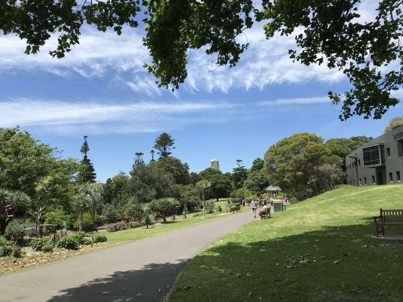 考研出国新加坡,如何考研到别的学校