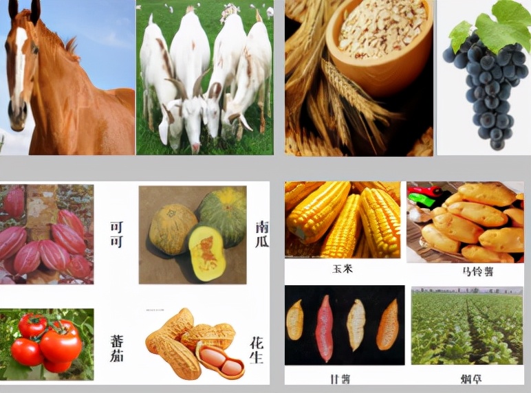 高中历史国际格局的演变,教学设计高中历史