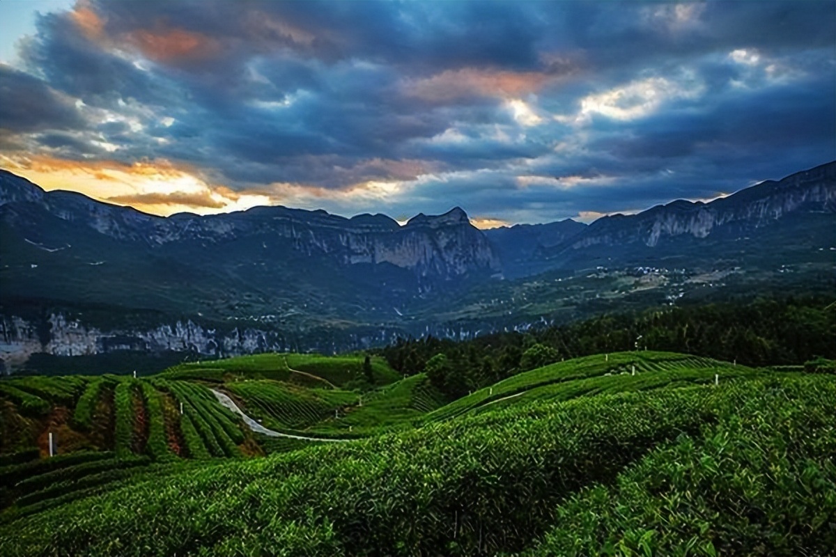 龙桥暗河寻踪,亚洲最长的暗河是龙桥暗河吗