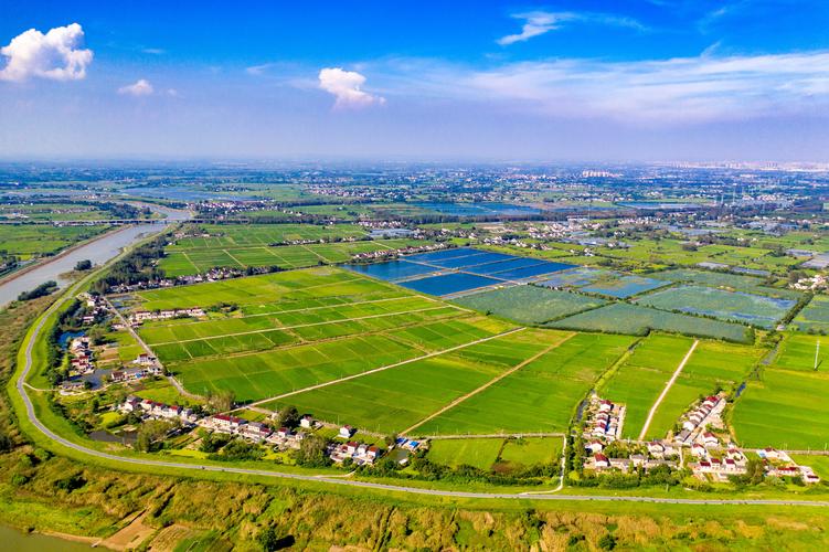 农田规模化种植意义,农田生态系统如何最大化利用农田