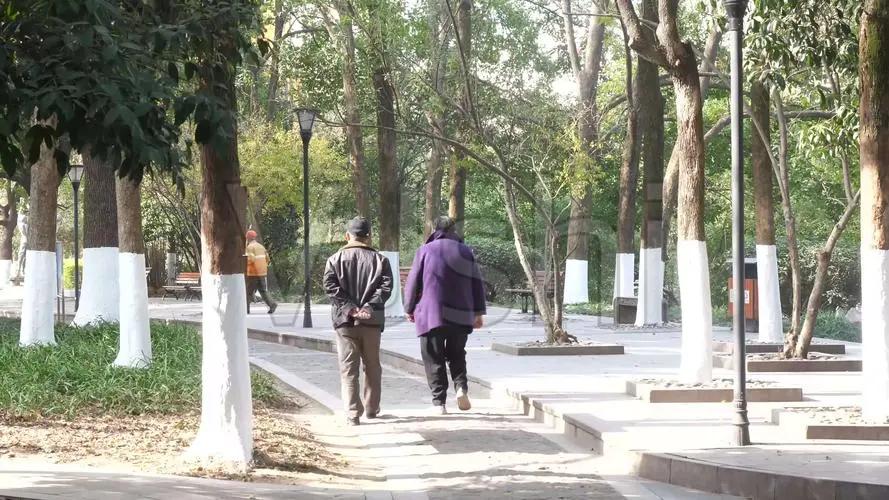 年轻人也可以每天坚持走路锻炼,长期坚持走路对身体有什么好处