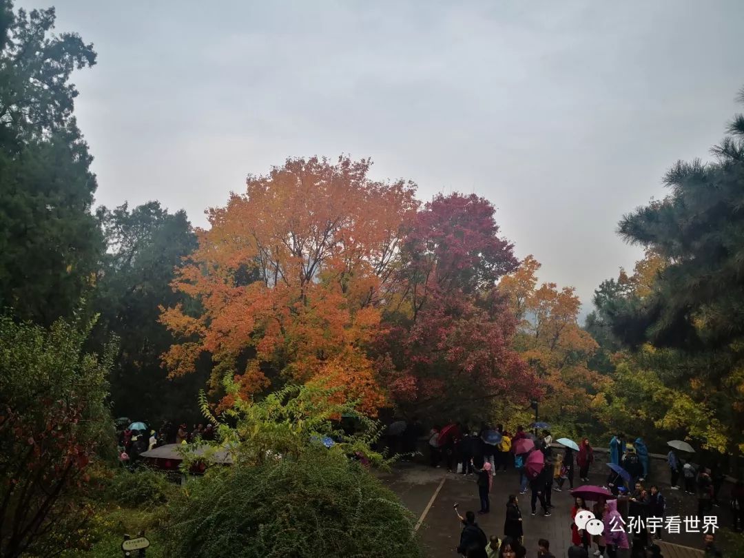 北京的香山上,北京的香山海拔多少米