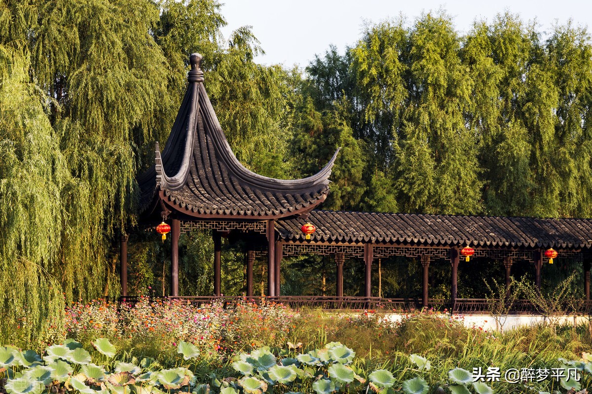 苏州吴中区5a景区,苏州吴中太湖湿地公园