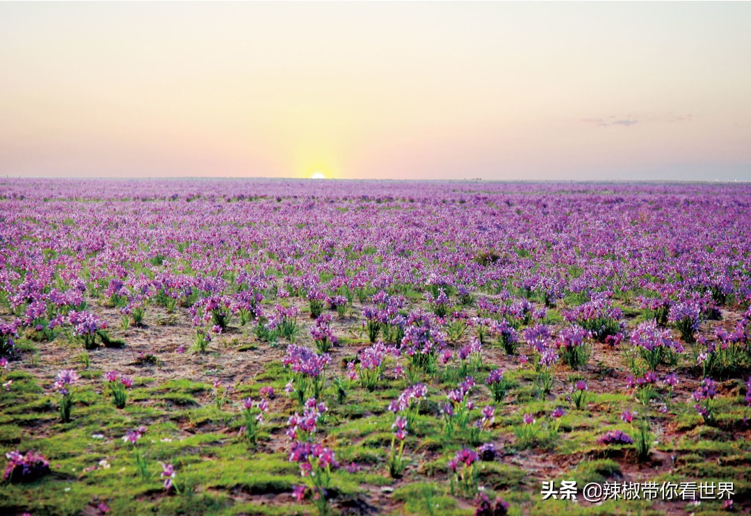 壮美内蒙古鄂尔多斯,内蒙古鄂尔多斯风景