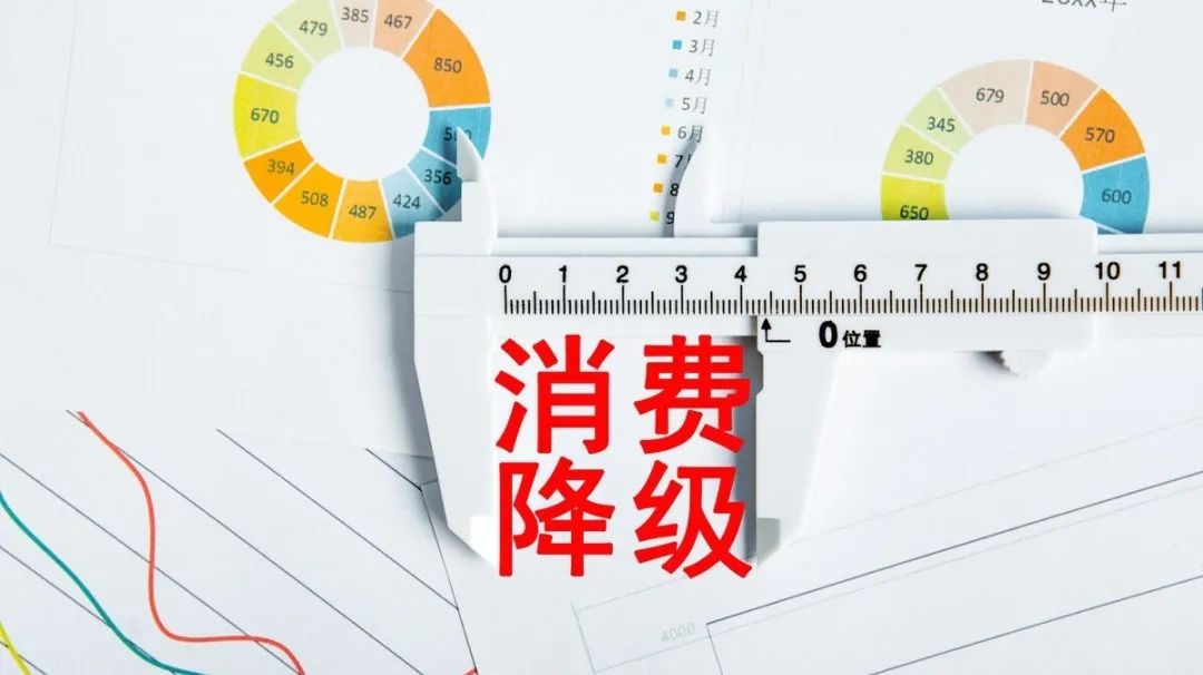 消费降级下的机会,面对消费降级该如何招商