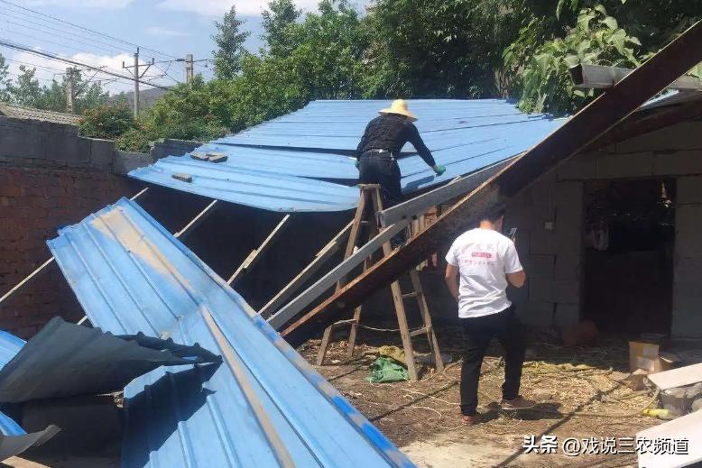 拆除彩钢瓦政策是真的吗,国家出台拆除彩钢瓦政策是真的吗