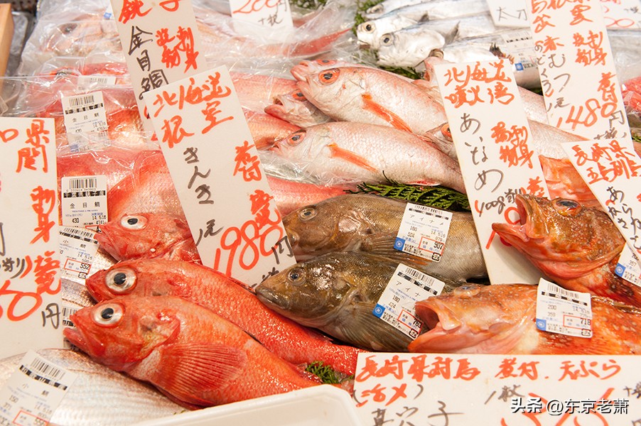 百年远东上海vs亚洲豪门东京，生活成本、衣食住行大对比