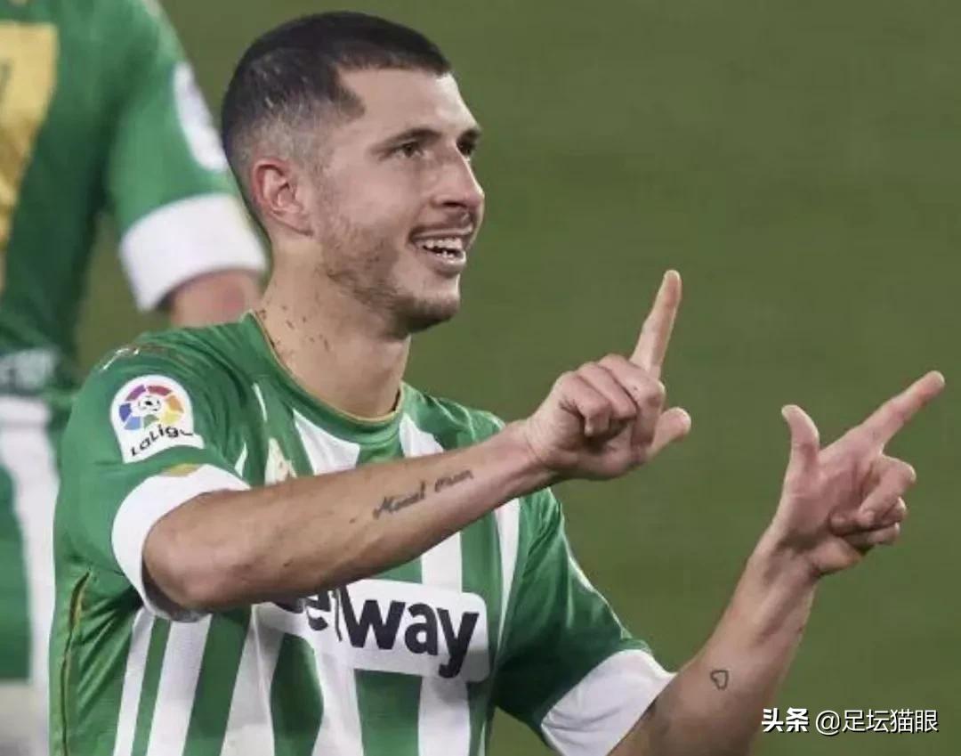 阿根廷队为什么叫潘帕斯雄鹰,阿根廷评价潘帕斯雄鹰