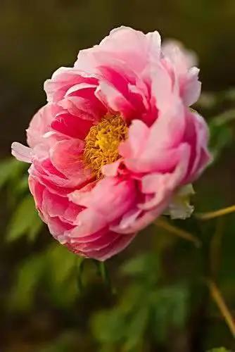 这个季节去哪里玩最合适昆明周边,昆明周边过年旅游推荐