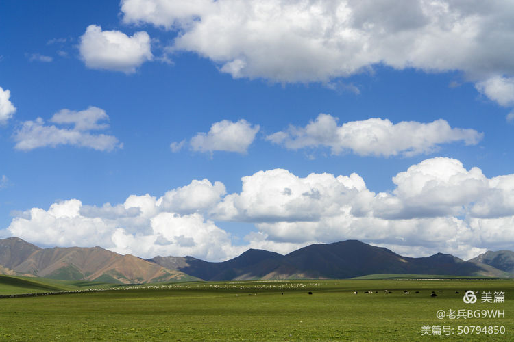 祁连山草原哪里最美,祁连山深处草原