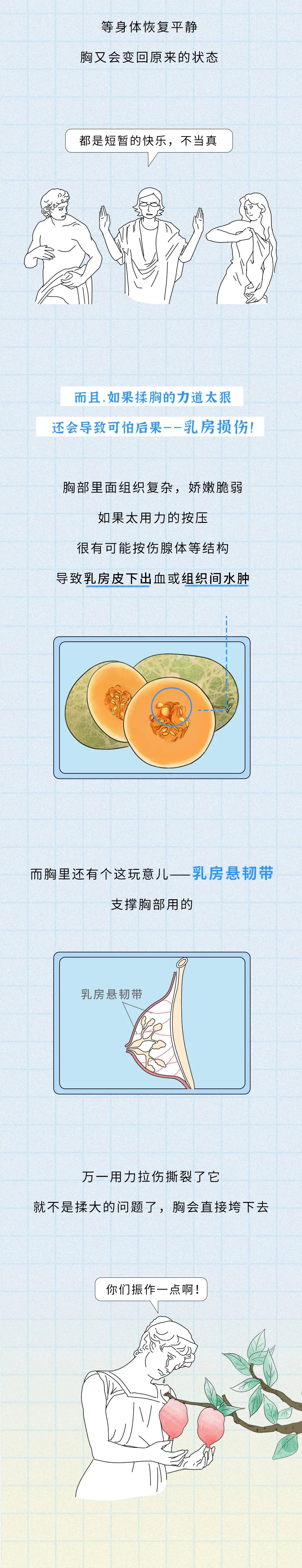 为什么女生的胸部不能乱揉？（漫画）