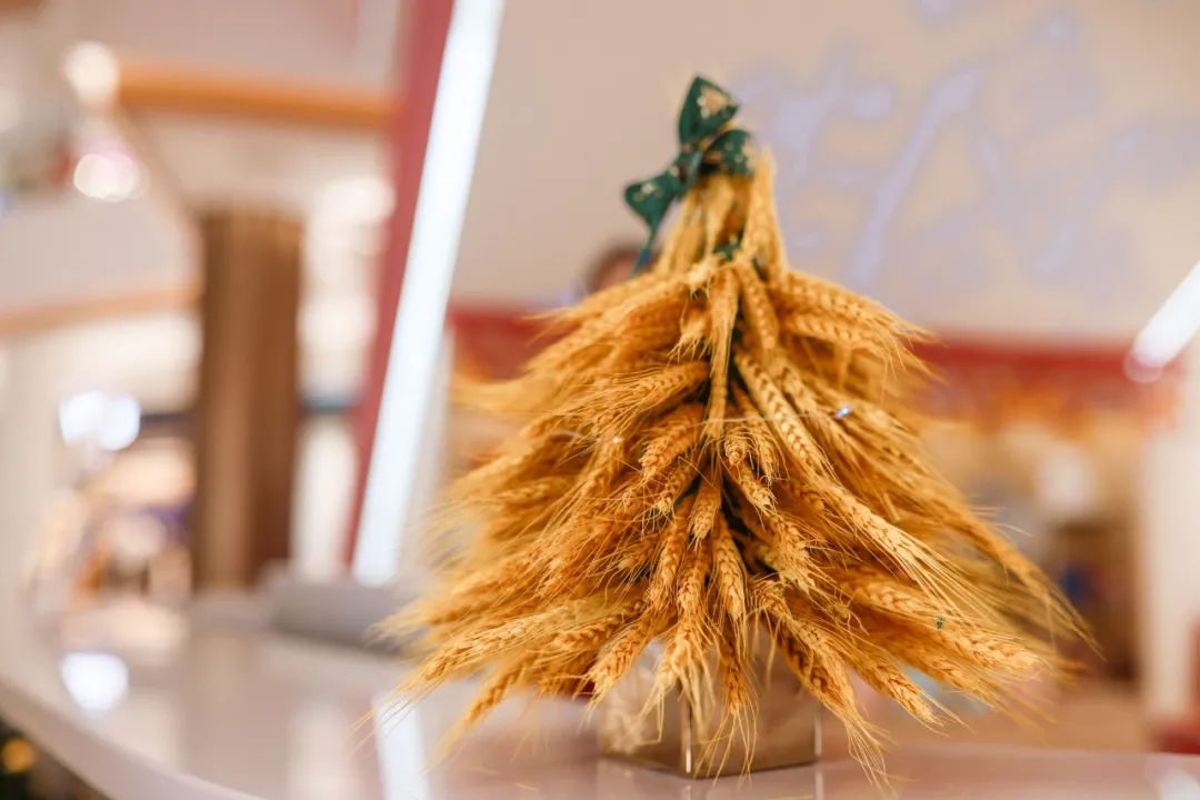 这个圣诞，友谊·南海城惊喜不断！遇见海口的浪漫“初雪”