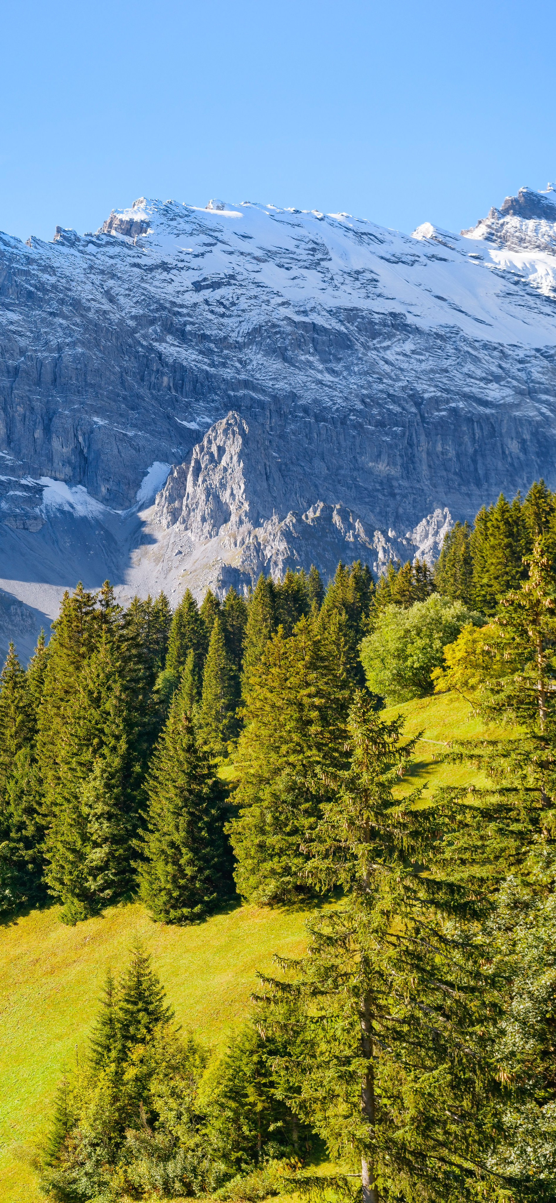 高清蓝天自然风景壁纸,动物自然风景高清壁纸