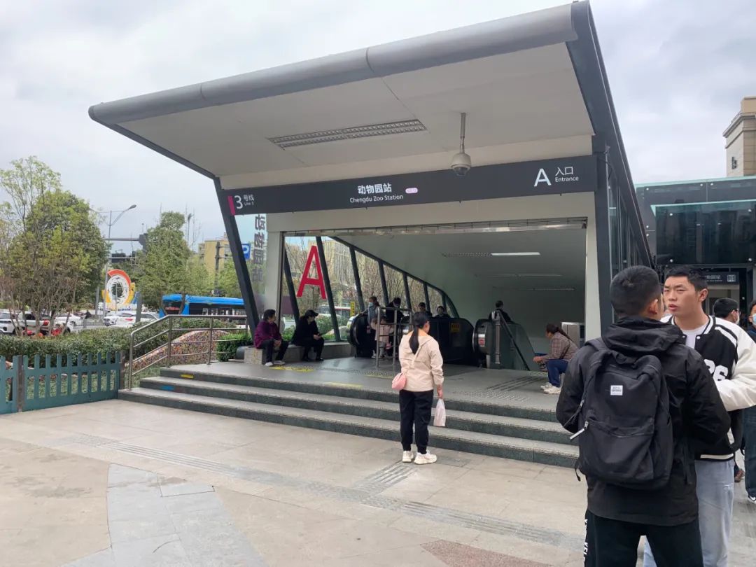 保姆级出行攻略,保姆级支线攻略