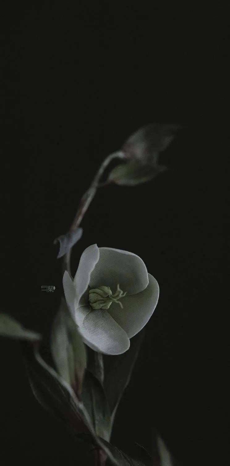 黑暗系壁纸黑底文字,黑暗色系的壁纸