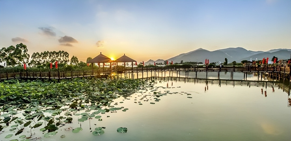 云霄县省级现代农业产业园（枇杷蔬菜）项目发展情况